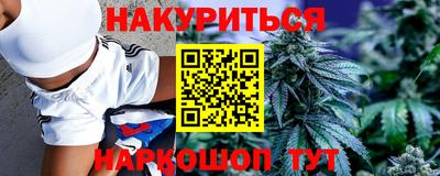 МДПВ Будённовск