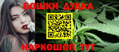МДПВ Будённовск